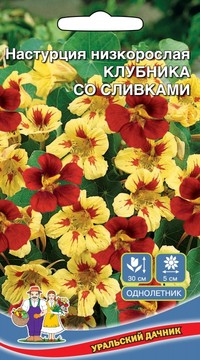 Настурция низкорослая КЛУБНИКА СО СЛИВКАМИ