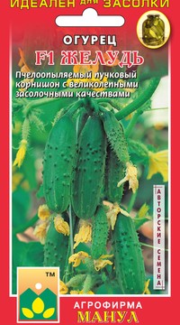 Огурец F1 Желудь