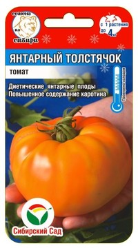 Томат Янтарный толстячок
