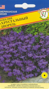 Лобелия кустовая 