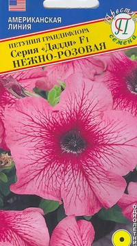 Петуния гранд.