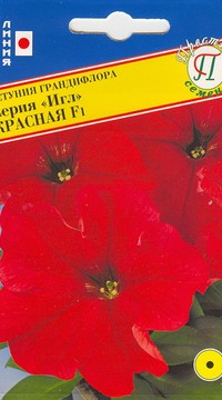 Петуния гранд.