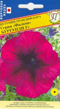 Петуния гранд.