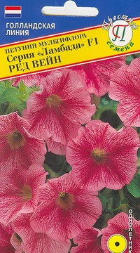 Петуния мультифлора 