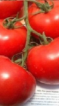 Томат Махитос F1(россыпь)