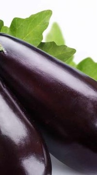 Баклажан Клоринда F1