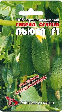 Огурец Вьюга F1