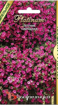 Петуния каскадная Пандора F1 Парпл