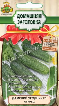 Огурец  Дамский угодник F1