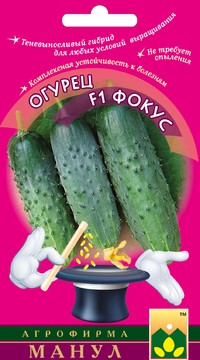 Огурец Фокус F1