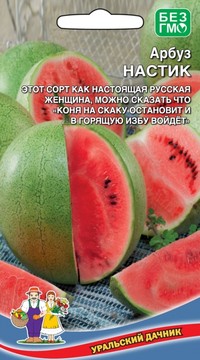 АРБУЗ НАСТИК