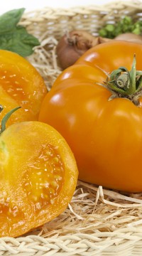 Томат Момотаро Голд F1