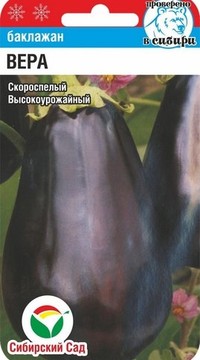 Баклажан Вера