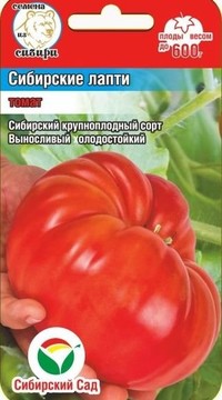 Томат Сибирские лапти