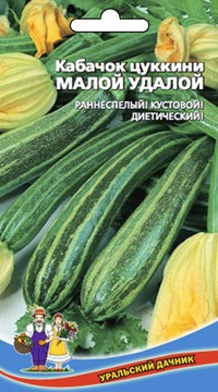 Кабачок Малой-Удалой - цуккини