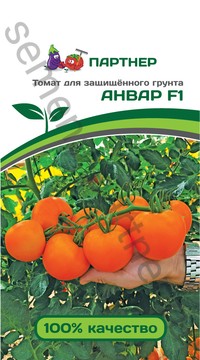 Томат Анвар 2-ной пак F1