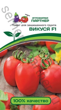 Томат Викуся