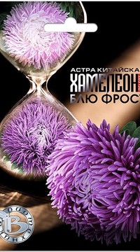 Астра Хамелеон Блю Фрост SELECT китайская Био
