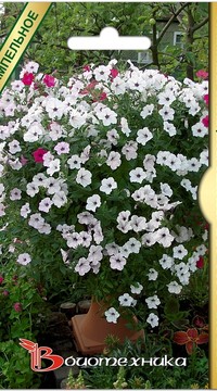 Петуния Тайфун Сильвер каскадная F1 Био