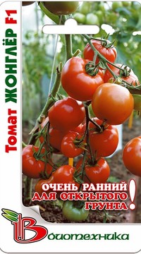 Томат Жоглер