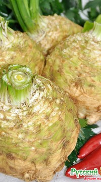 Сельдерей Русский размер корневой