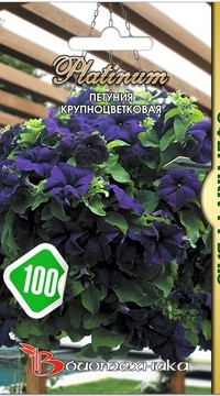 Петуния Сферика Блю крупноцветковая F1