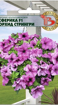 Петуния Сферика Орхид Стрингри F1