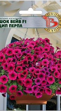 Петуния Шок Вейв Дип Перпл каскадная F1