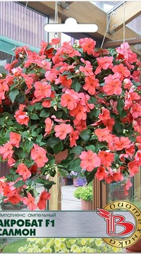 Импатиенс ампельный “Акробат” F1 Салмон