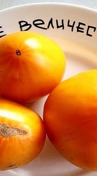 Томат Ваше Величество