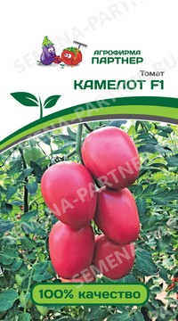 Томат Камелот F1