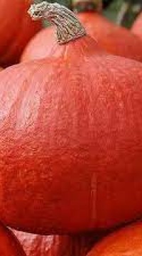 Тыква Учики кури