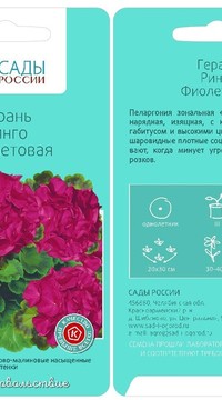 Пеларгония Ринго Фиолетовая