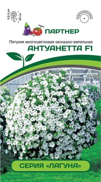 Петуния Антуанетта серия Лагуна F1