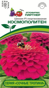 Цинния Космополитен георгиновидная