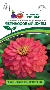 Цинния Абрикосовый Джем махровая