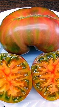 Томат Мутная мамба