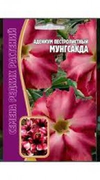 Адениум пестролистный Мунгсакда