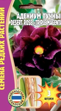 Адениум тучный Desert Rose Triple Magenta
