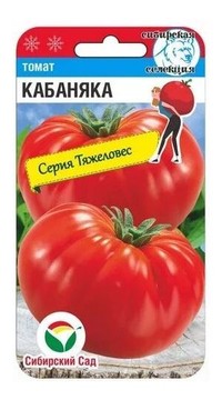 Томат Кабаняка