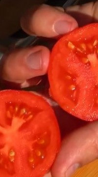 Томат Дерзкий Франк F1