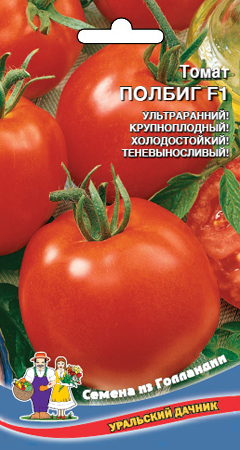 tomat-polbig-f1