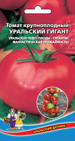 tomat-krupnoplodnyy-uralskiy-gigant-kollekcionnyy