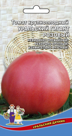 tomat-krupnoplodnyy-uralskiy-gigant-rozovyy