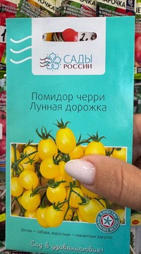 Томат Лунная дорожка