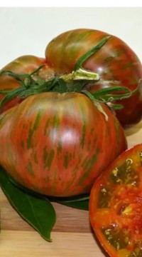 Томат Ярсон 18/3