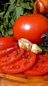 Томат Поэт F1