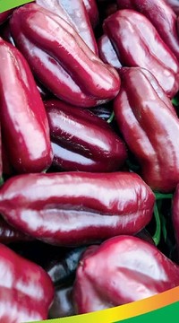 Перец Шоколадная прелесть