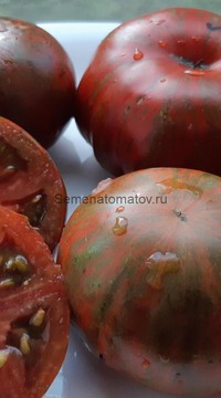 Томат Марун