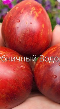 Томат Клубничный водопад
